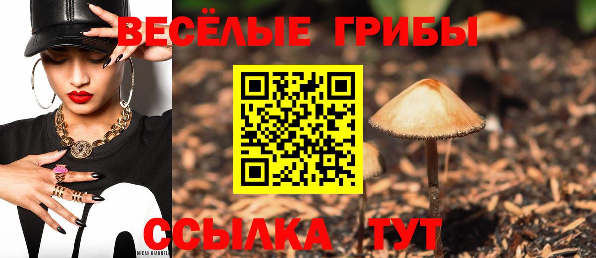 Партизанск  Псилоцибиновые грибы Psilocybine cubensis  Вход с VPN 