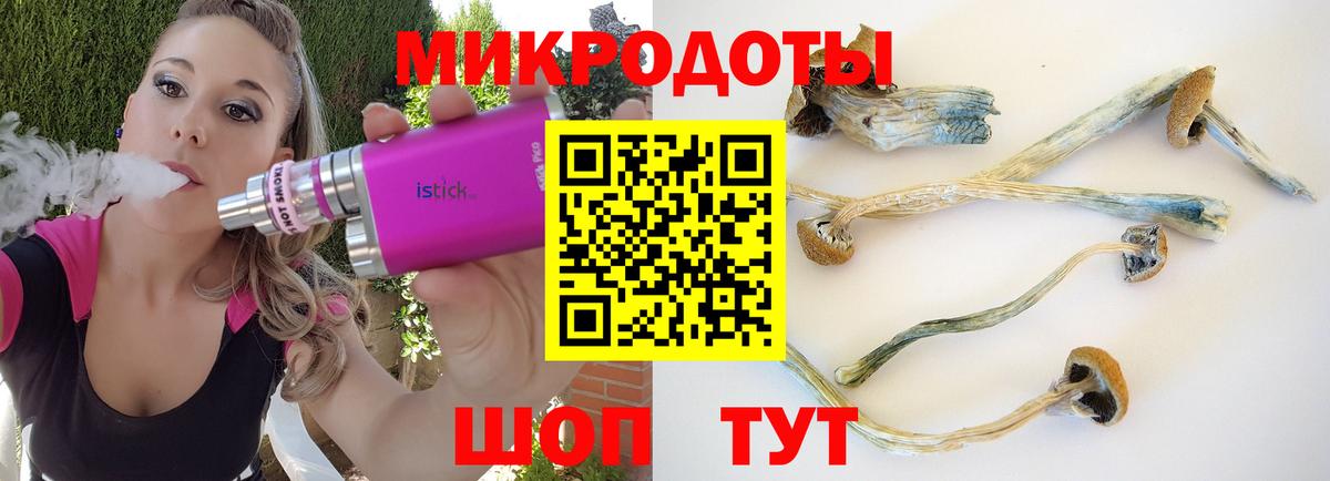 Псилоцибиновые грибы мухоморы Партизанск